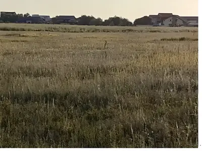 Teren intravilan de vanzare Sector 4 Bucuresti cu case